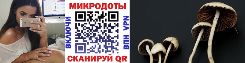Псилоцибиновые грибы Cubensis  блэк спрут рабочий сайт  Иланский  купить наркотик 